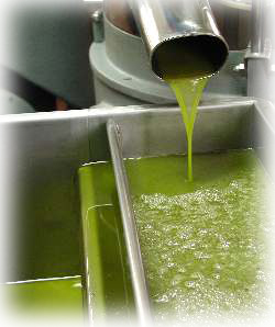 Our Products - Oil - Olive Case, Casa de