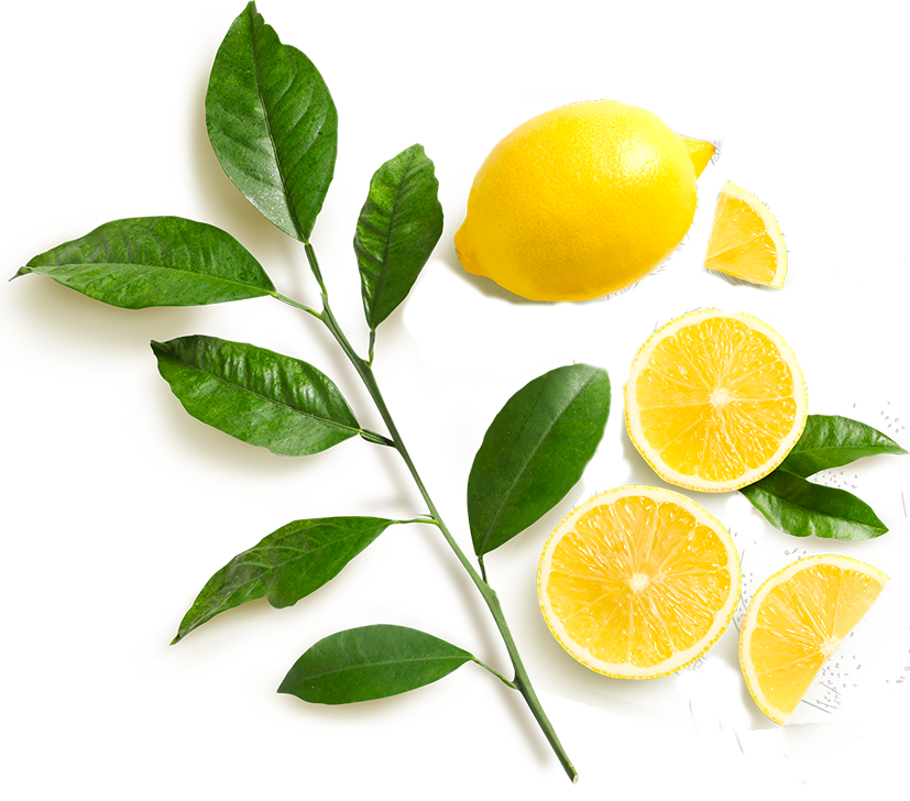limone-3.png