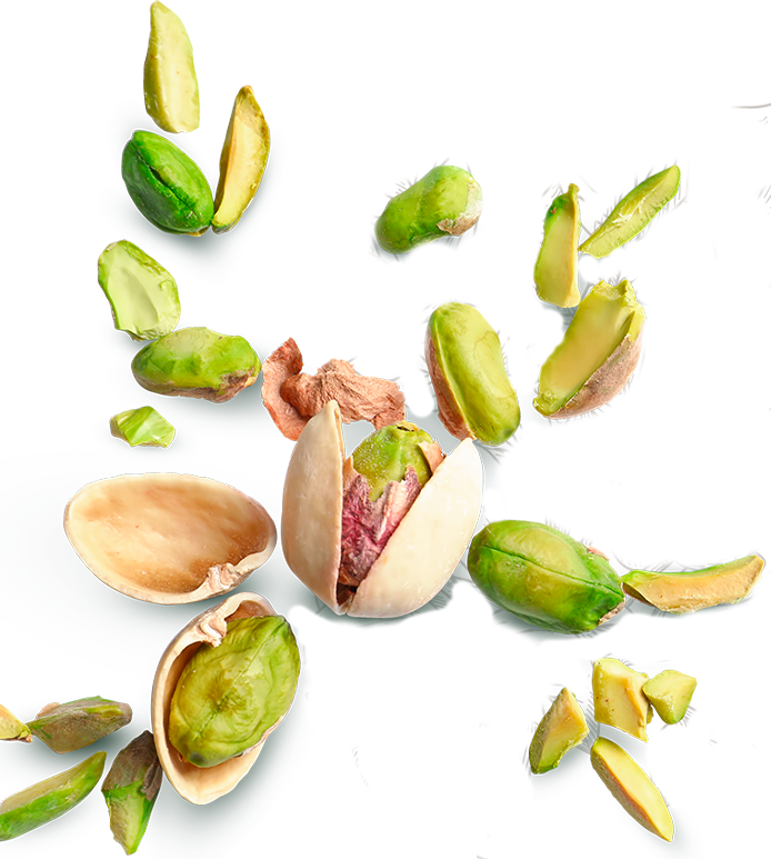 Our Products & Pandoro & Pandoro by Flavor