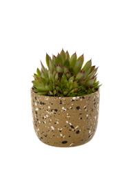 Indaba Speckle Pot in Olive