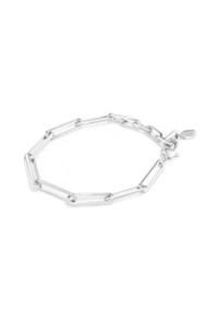 Jenny Bird Stevie Anklet in High Polish Silver