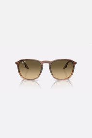 Ray-Ban 0RB2203 Sunglasses in Striped Brown + Brown Vintage