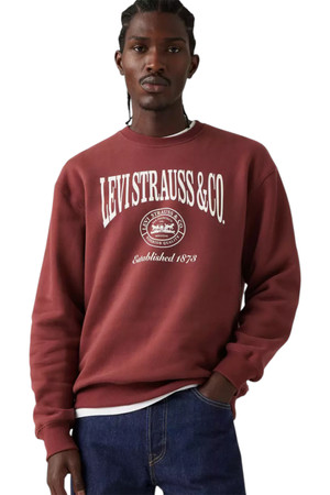 Levi's Relaxed Graphic Crew in 90's Prep