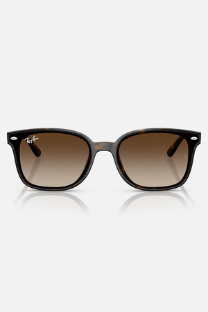 Ray-Ban 0RB4461 Sunglasses in Havana + Brown Gradient