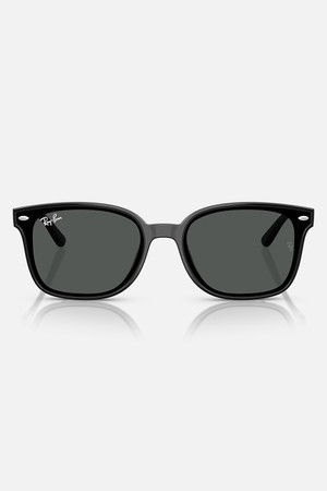Ray-Ban 0RB4461 Sunglasses in Black + Dark Grey