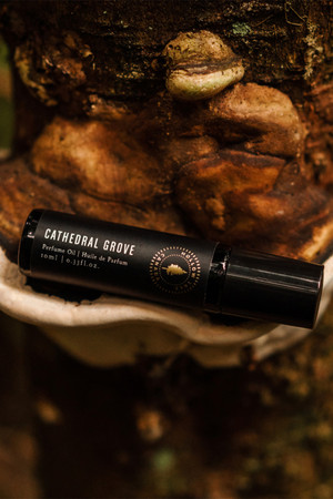 Hollow Tree Cathedral Grove Perfume Oil