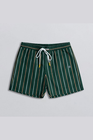 Champlain Day Shorts in Striped