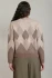 Back view of Dex oatmeal/brown diamond sweater showing clean drape and knit texture