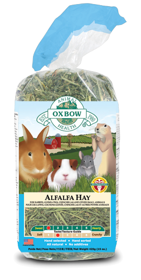 alfalfa hay for guinea pigs