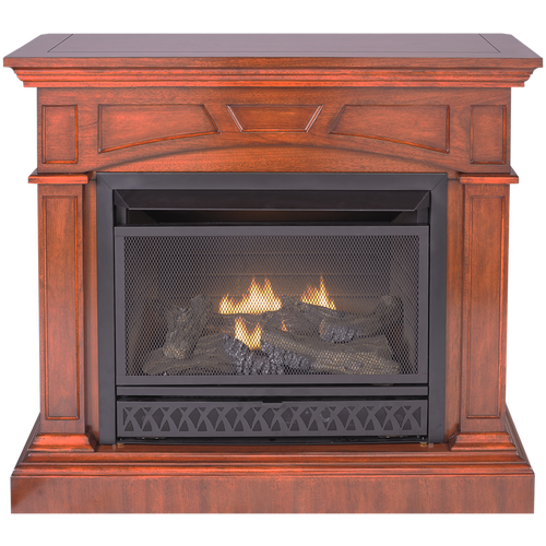 ProCom Dual Fuel Ventless Fireplace - 26 000 BTU