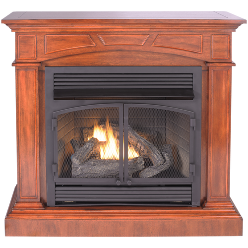 ProCom Dual Fuel Ventless Fireplace - 32 000 BTU
