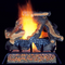 ProCom Vented Natural Gas Fireplace Log Set, #WAN24LA