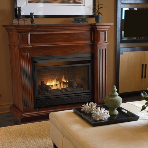 ProCom Dual Fuel Ventless Fireplace - 26 000 BTU