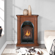 170041 - Contemporary Gas Fireplace Setting