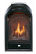 Duluth Forge Vent Free Arched Fireplace Insert