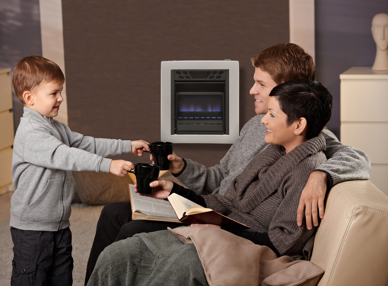 Cedar Ridge Recon Dual Fuel Blue Flame Heater - 10,000 BTU, Model#  MD10TBU-R - Factory Buys Direct