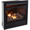 ProCom 32" Zero Clearance Fireplace Insert With Remote - Model FBNSD32RT