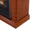ProCom FS100T-3W Ventless Fireplace System 10K BTU Duel Fuel Thermostat Insert and Walnut Mantel (170194)