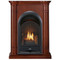 ProCom FS100T-3W Ventless Fireplace System 10K BTU Duel Fuel Thermostat Insert and Walnut Mantel (170194)