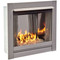 DF450SS-G Stainless Steel Outdoor Gas Fireplace Insert - Angled