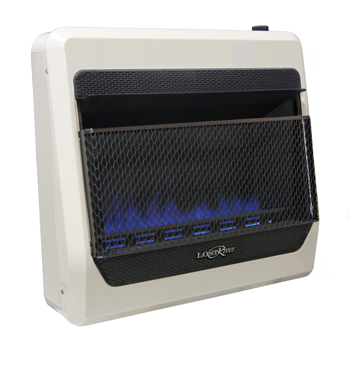 Lost River Reconditioned Dual Fuel Ventless Blue Flame Gas Space Heater