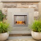 BL450SS-G Stainless Steel Built-In Outdoor Gas Fireplace Insert