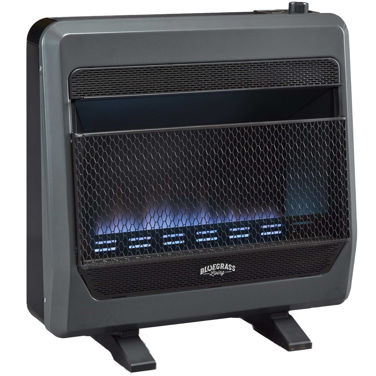 Bluegrass Living Natural Gas Vent Free Blue Flame Gas Space Heater With ...