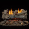 Ember Burner chassis design provides one row of flames and a glowing ember bed to create a realistic fire.