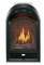 Bluegrass Living Vent Free Natural Gas Fireplace Insert - 10,000 BTU, T-Stat Control, Zero Clearance Design.