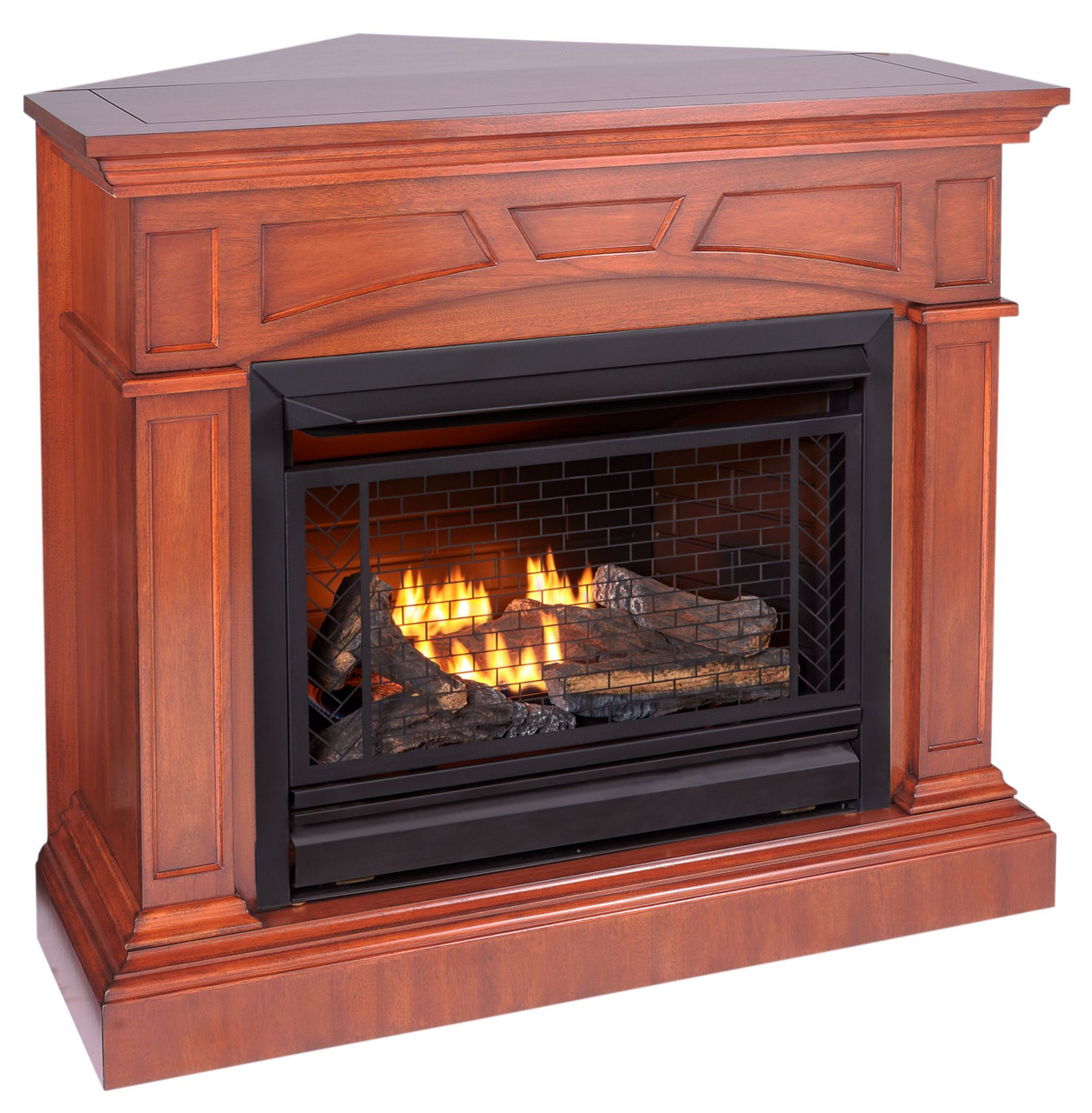 Bluegrass Living Vent Free Propane Gas Fireplace System - 26,000 BTU ...