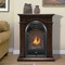 Bluegrass Living Vent Free Natural Gas Fireplace System - 10,000 BTU, T-Stat Control, Chocolate Finish.