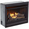 Bluegrass Living Vent Free Propane Gas Fireplace Insert - 26,000 BTU, Remote Control, Zero Clearance Design.