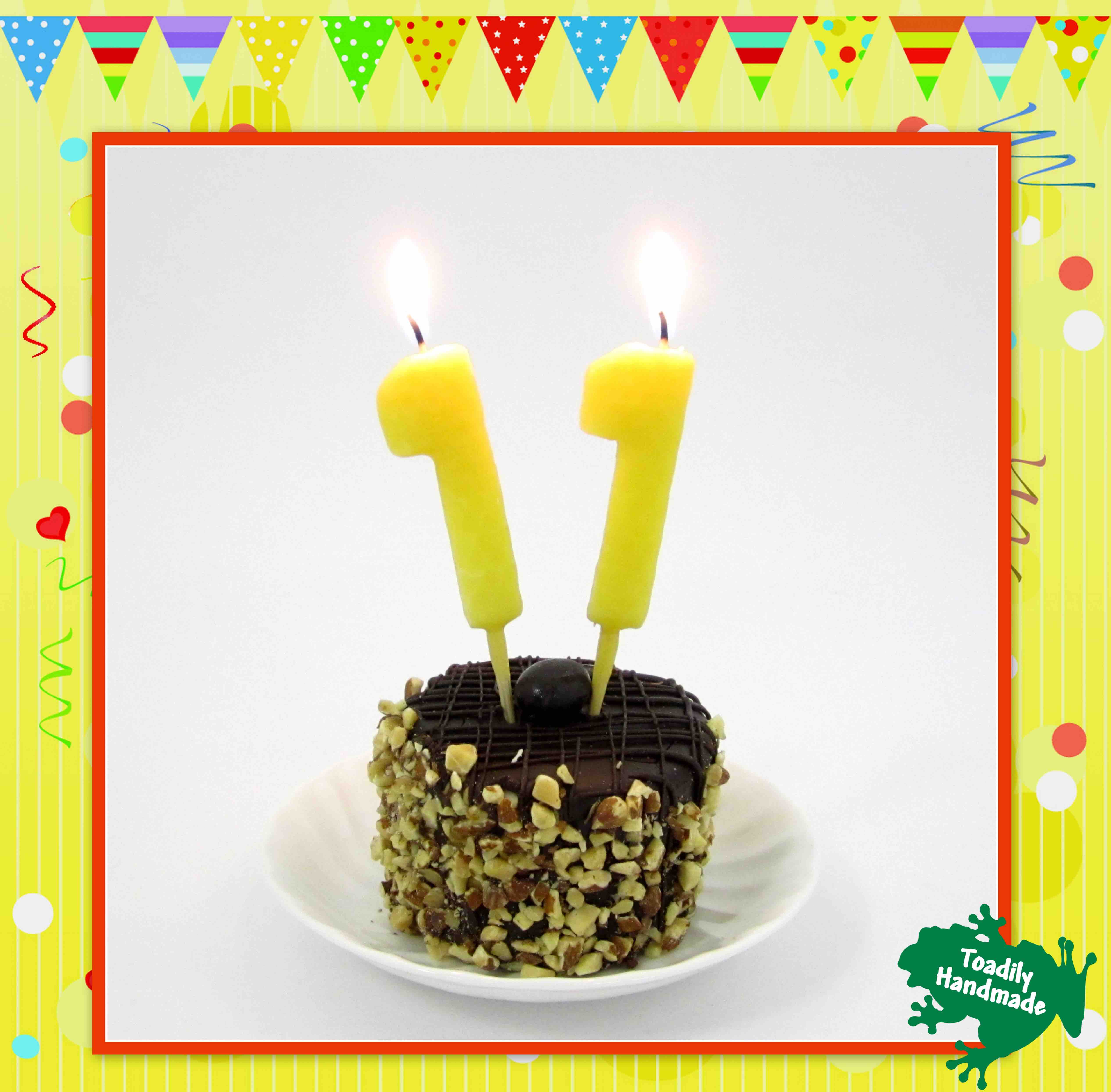 Celebrating 11 Years Toadily Handmade Beeswax Candles, LLC