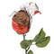Belgian Milk Chocolate Red Foiled Roses 20 ct.