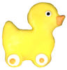 >Toy Duck 