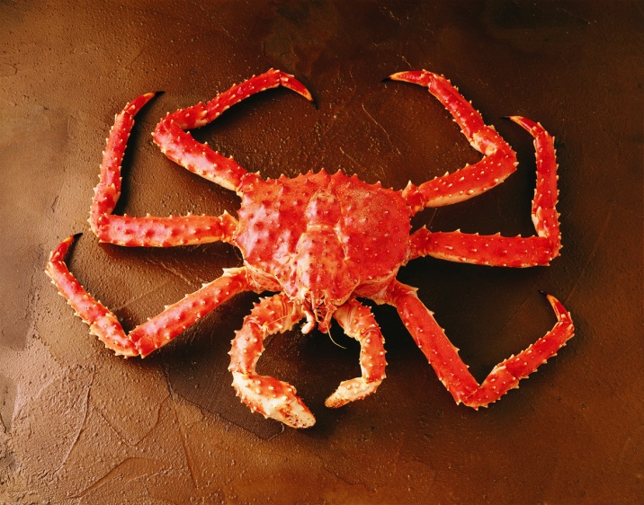 Frozen King Crab Wholesale