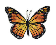 Butterfly Monarch 