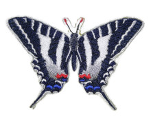 Zebra Swallowtail  