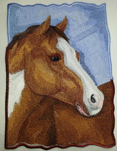 American Paint Horse Portrait