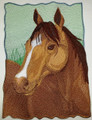Quarter Horse Portrait        