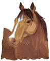 Quarter Horse Face 