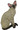 Siamese(Chocolate Point) Cat 