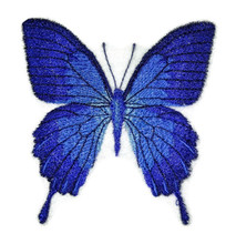  Butterfly Blue Triangle 