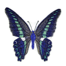 Butterfly Ulysses swallowtail 