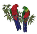 Australian King Parrots In Eucalyptus Tree