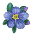 Watercolor Violet Bloom