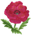 Watercolor Poppy Bloom