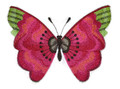 Watercolor Poppy Butterfly
