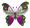 Watercolor Lady Slipper Butterfly