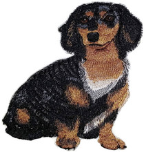Dachshund Longhaired Dog